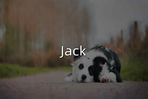 Jack Cui | 關注人工智能及互聯網的個人網站 - 官網預覽