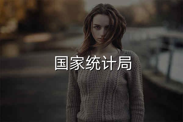 國家統計局 - 官網預覽