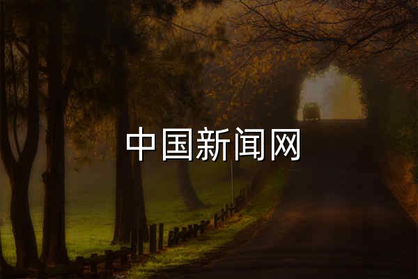 中國新聞網_梳理天下新聞 - 官網預覽