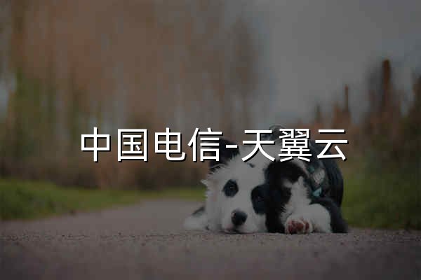 中國電信-天翼云,云網(wǎng)融合,安全可信,專享定制 - 官網(wǎng)預(yù)覽