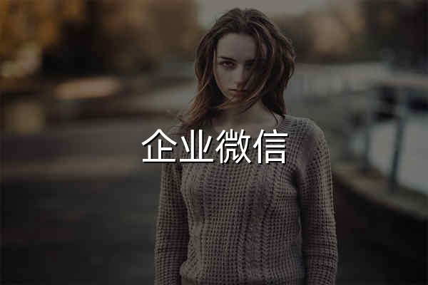 企業微信 - 官網預覽