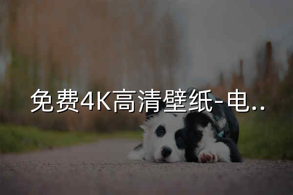 免費4K高清壁紙-電腦背景圖片-Mac壁紙網站「哲風壁紙」 - 官網預覽