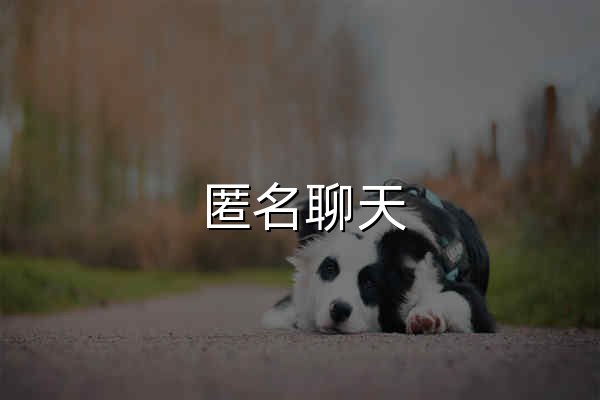 匿名聊天|Yomi聊天-能聊天的在線聊天室，陌生人隨機同城聊天交友網站 | nuxt-app - 官網預覽