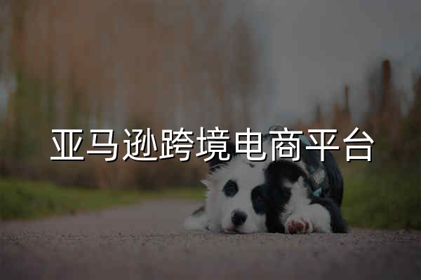 亞馬遜跨境電商平臺_中國賣家注冊官網_開店入駐登錄_Amazon亞馬遜 - 官網預覽