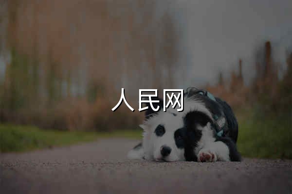 人民網_網上的人民日報 - 官網預覽