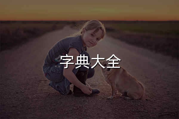 字典大全 - 全面收錄各類字典，快速查找必備工具 - 天安字典 - 官網(wǎng)預覽