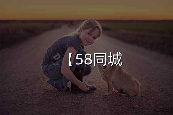 【58同城 58.com】其他分類信息 - 本地 免費 高效 - 官網預覽
