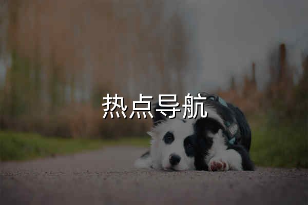 熱點導航 - 網(wǎng)址導航_AI工具_影視小說_熱搜資訊 - 官網(wǎng)預覽