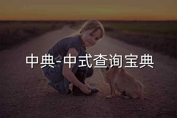 中典-中式查詢寶典 - 官網預覽