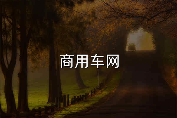 商用車網_商用車產業鏈服務平臺 - 官網預覽