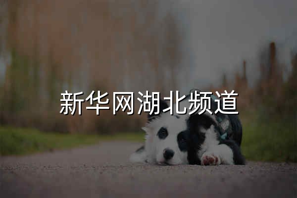 新華網湖北頻道 - 官網預覽