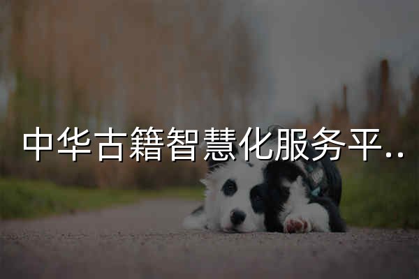 中華古籍智慧化服務(wù)平臺(tái) - 官網(wǎng)預(yù)覽