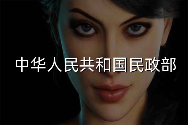 中華人民共和國民政部 - 官網預覽