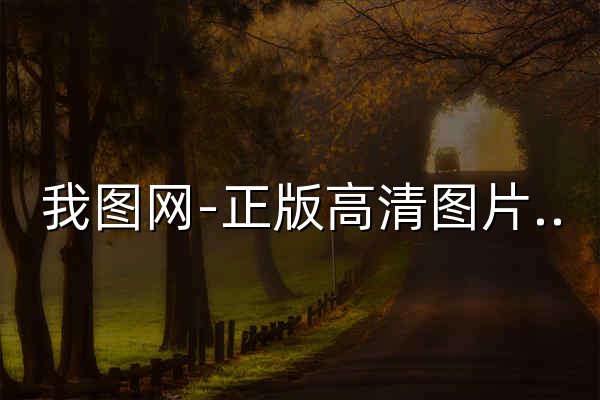 我圖網-正版高清圖片素材網站,免費平面,品牌包裝,背景墻,裝飾畫素材下載 - 官網預覽