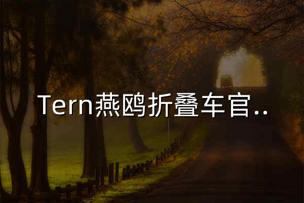 Tern燕鷗折疊車官方網站 - 官網預覽