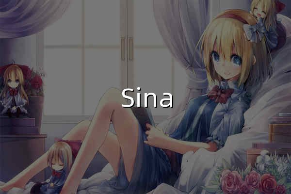 Sina Visitor System - 官網預覽