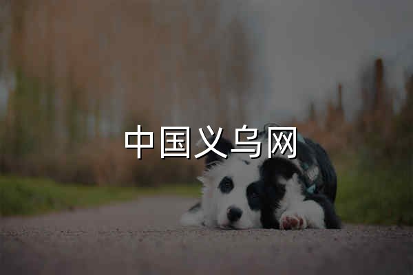 中國義烏網_義烏官方權威媒體_義烏新聞門戶網站 - 官網預覽