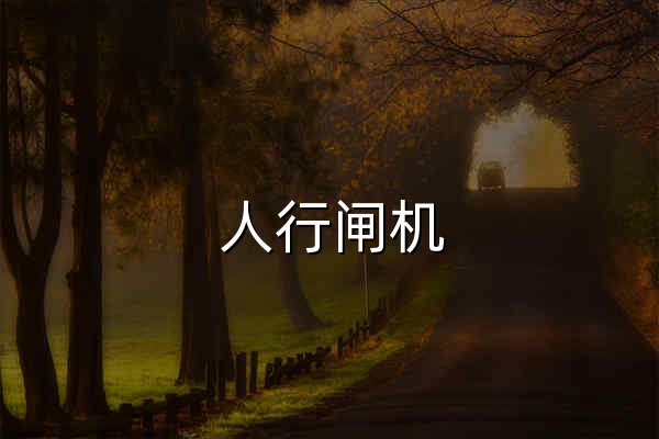 人行閘機_車輛道閘_擺閘_翼閘通道閘機生產廠家-賢松智能 - 官網預覽