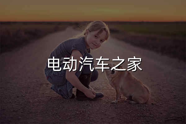 電動汽車之家,為新能源汽車而生 - 第一電動網 - 官網預覽