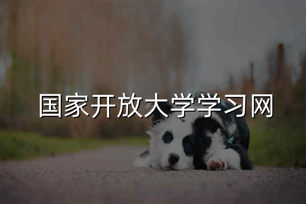 國家開放大學學習網 - 官網預覽