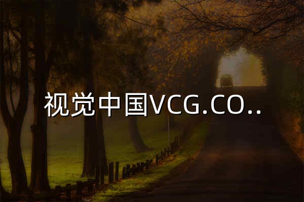 視覺中國VCG.COM-正版商用圖片,視頻,音樂,字體,插畫_素材庫 - 官網預覽