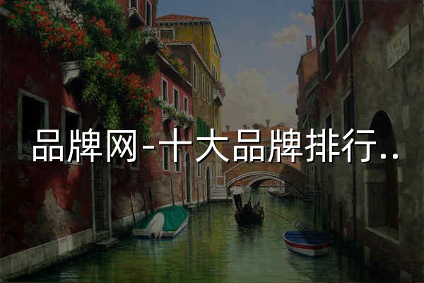品牌網-十大品牌排行榜-品牌大數據服務平臺 - 官網預覽