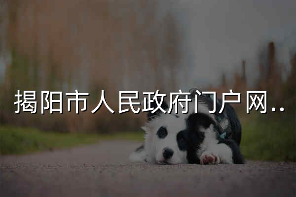 揭陽市人民政府門戶網(wǎng)站 - 官網(wǎng)預(yù)覽