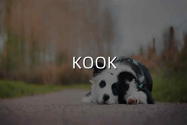 KOOK,一個好用的語音溝通工具 - 官方網(wǎng)站 - 官網(wǎng)預覽