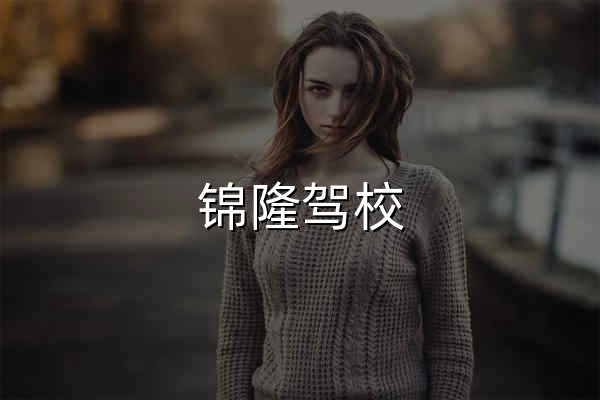 【錦隆駕校】-上海正規駕校,專業駕駛培訓! - 官網預覽