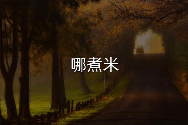 哪煮米 - 全網域名,一站比價 - 官網預覽