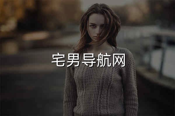 宅男導航網,一個只收錄精選的技術導航網站 - 官網預覽