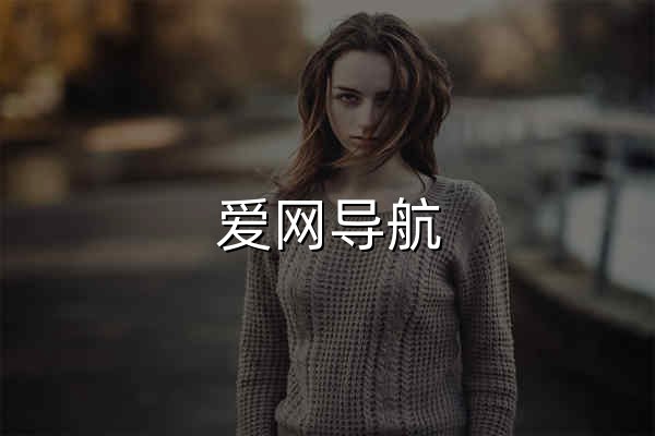 愛網導航 - 一個專注收集分享優質免費資源的導航 - 官網預覽