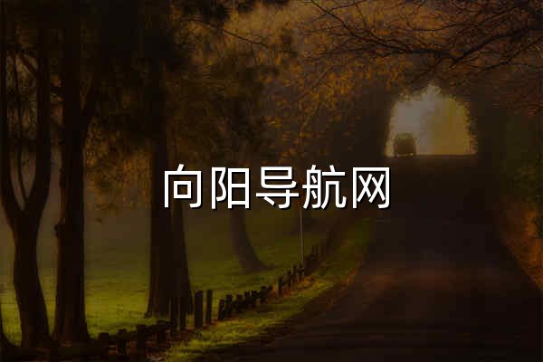 向陽導航網 - 專業網址導航平臺 - 官網預覽