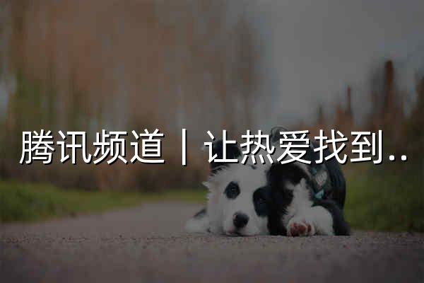 騰訊頻道｜讓熱愛找到組織，工具齊全助力打造興趣社群 - 官網預覽