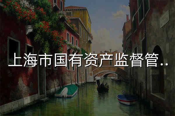 上海市國(guó)有資產(chǎn)監(jiān)督管理委員會(huì) - 官網(wǎng)預(yù)覽