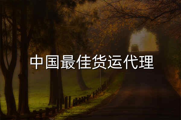 中國最佳貨運代理 | 空運和海運 - 深圳巴森頓物流 - 官網預覽