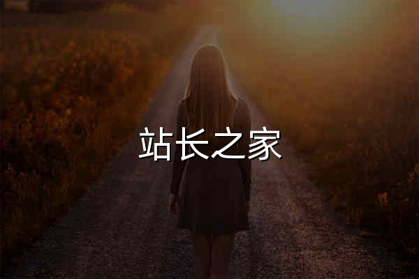 站長之家 - 站長資訊-我們致力于為中文網站提供動力！ - 官網預覽