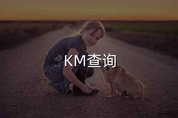 KM查詢 - 官網(wǎng)預(yù)覽