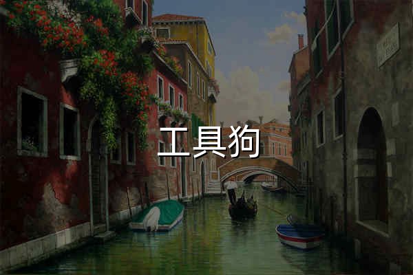 工具狗 - 在線工具箱網站效率提升神器 - 官網預覽