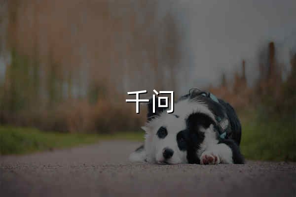 千問 - 阿里Qwen大模型打造的AI對話助手 - 官網預覽